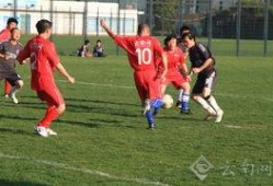 云南足球教练爆料新闻,揭秘足球圈幕后真相