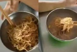 天津营养餐爆料视频,揭露校园食品安全背后的真相